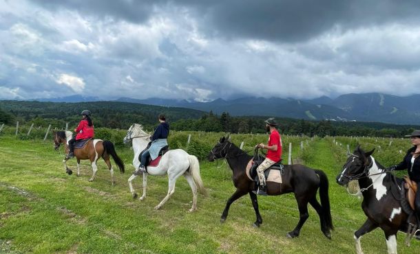 C4929260 45a7 42b0 B5ec 6cd57ac3d550