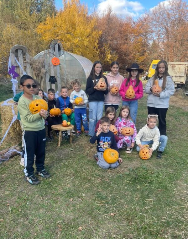 2e8aac85 6820 498d 8943 A083aa40426f Jpg