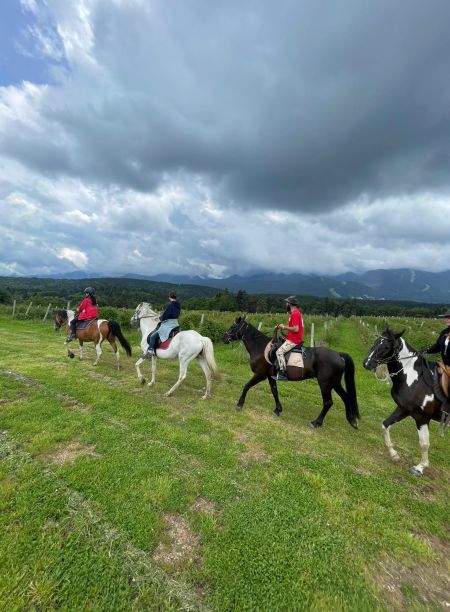 C4929260 45a7 42b0 B5ec 6cd57ac3d550